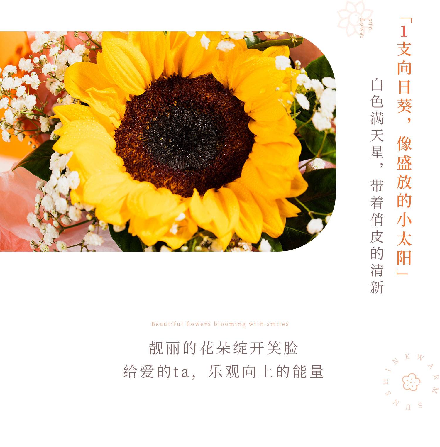 鲜花-朝阳_幸福西饼蛋糕预定_加盟幸福西饼_深圳幸福西饼官方网站